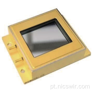 Hot Sell Nic 640 InGaas Planel Matriz Detector